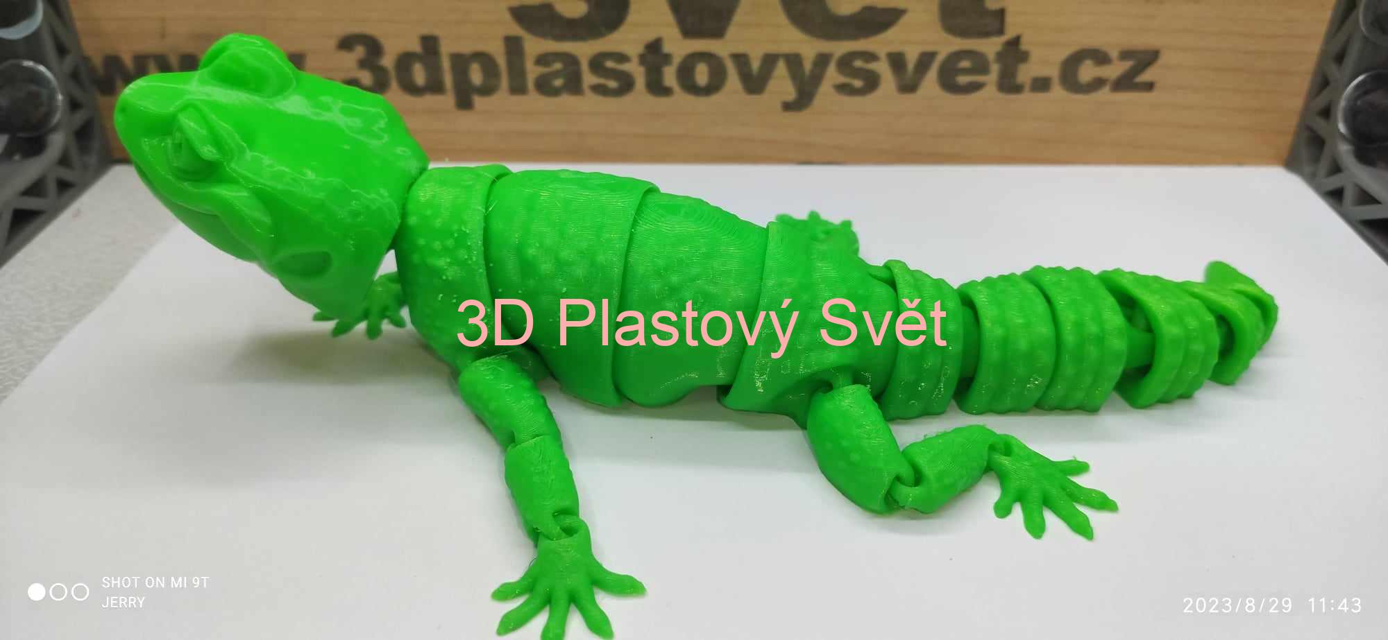 Šťastný leopardí gekon - hýbací