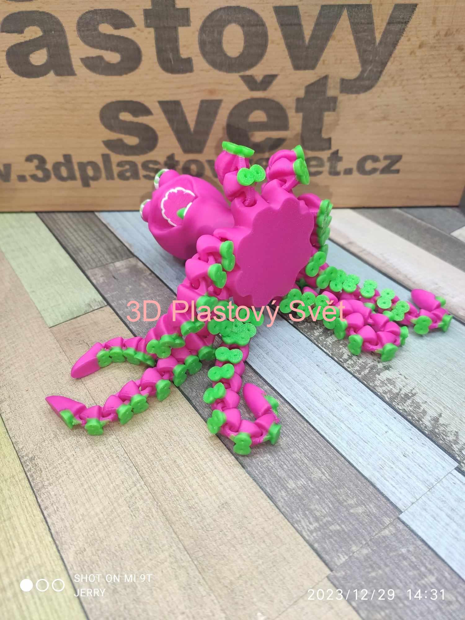 Vysmátá chobotnice