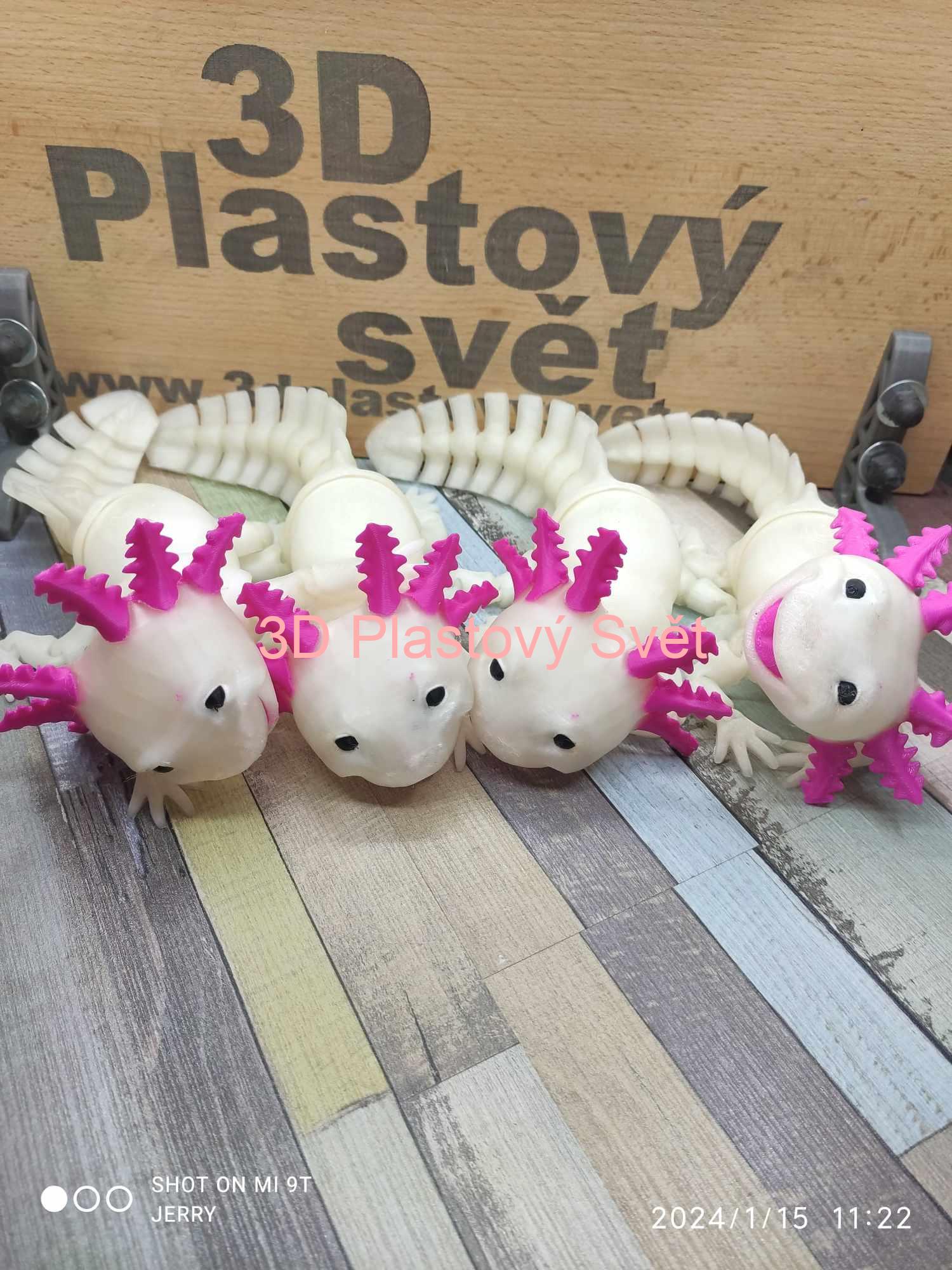 Vysmátý Axolotl
