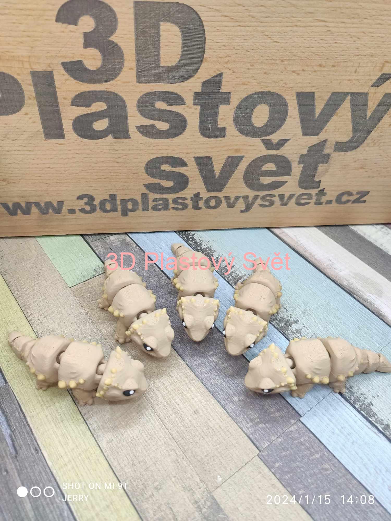 Malý dráček - Postavička