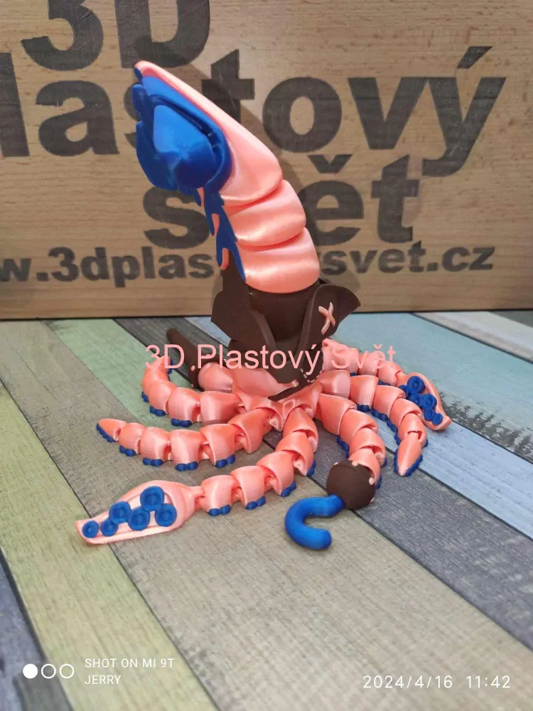Chobotnicový pirát