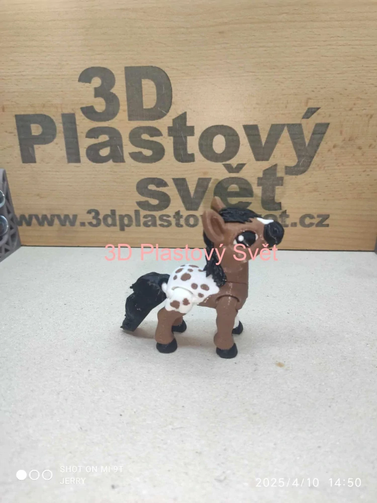Malý kůň - Appaloosa