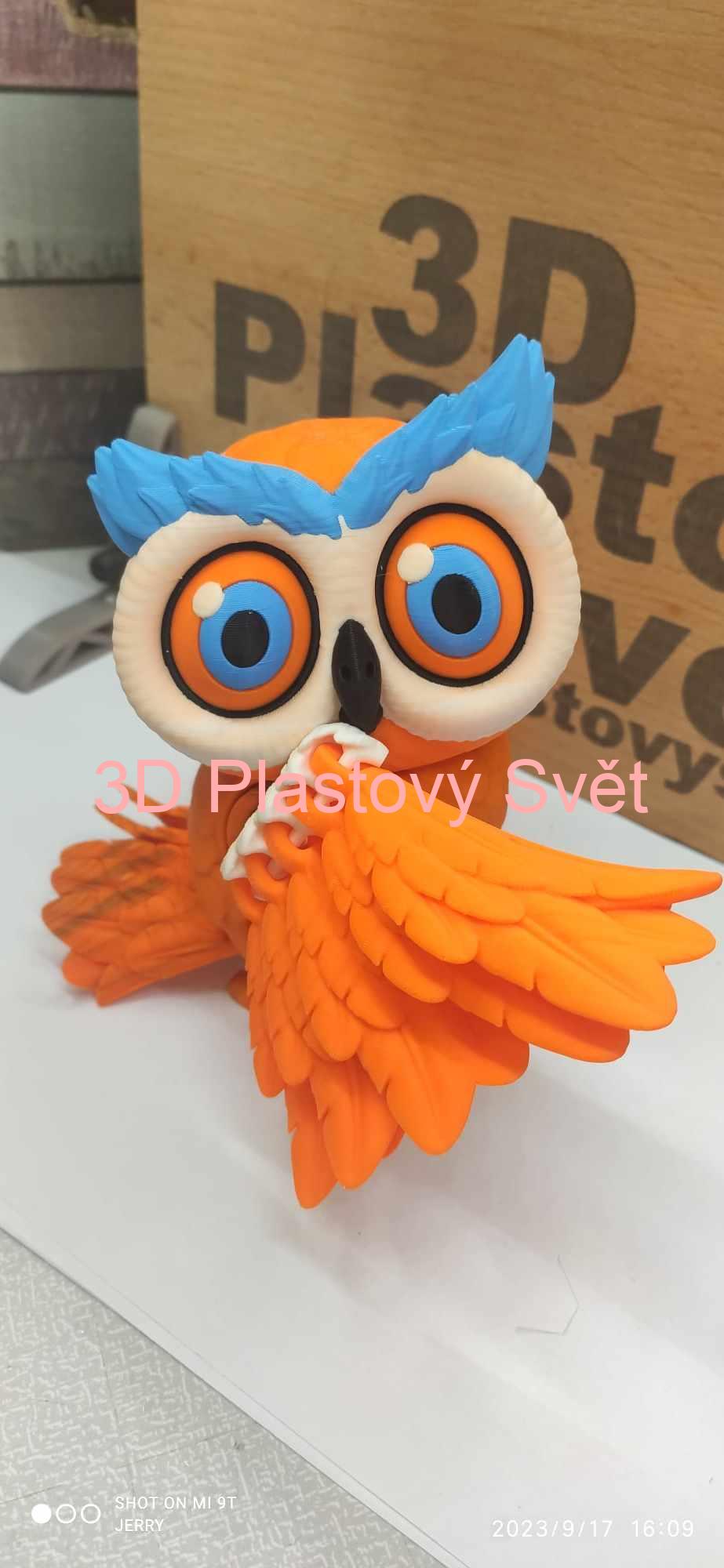 Sova - hýbací - barevná