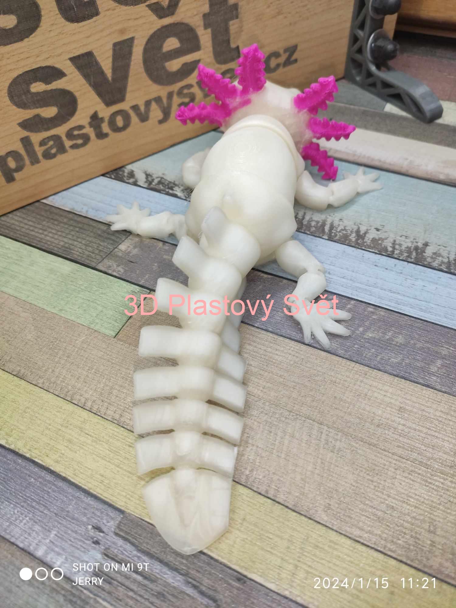 Vysmátý Axolotl