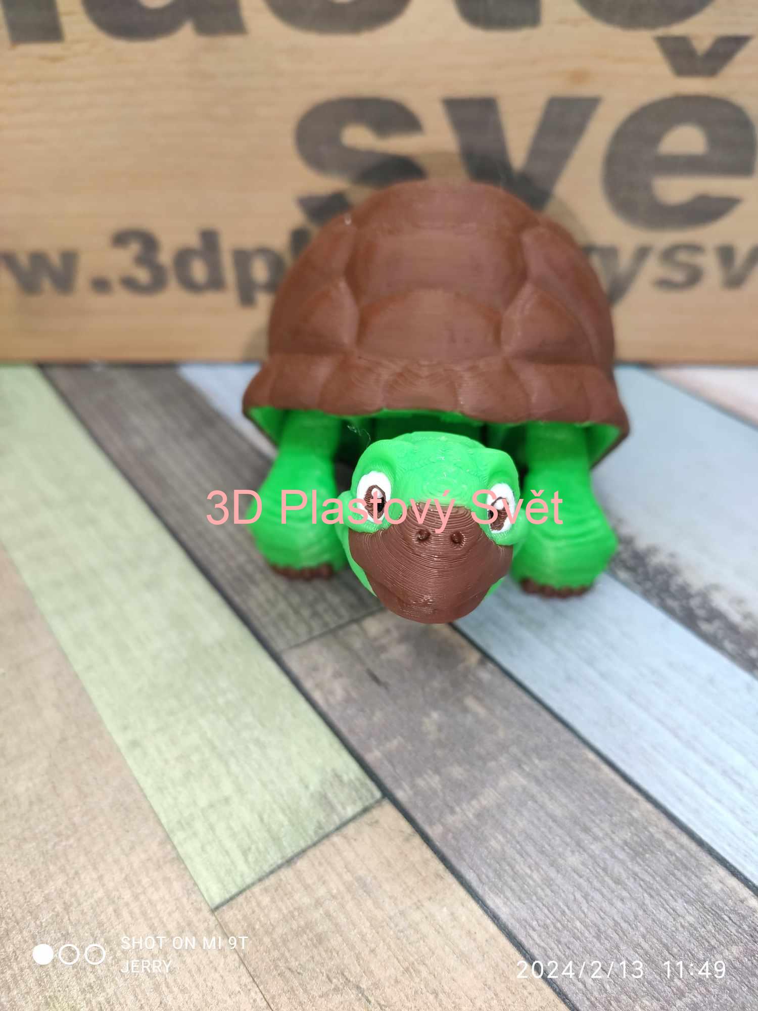 Želva - hýbací - barevný