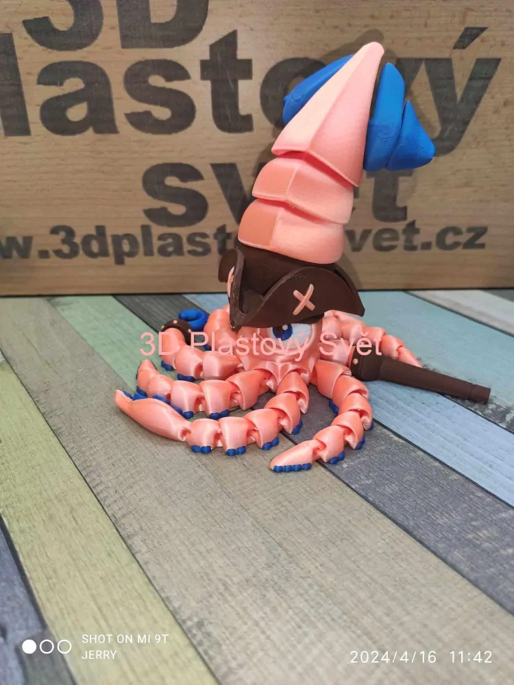 Chobotnicový pirát