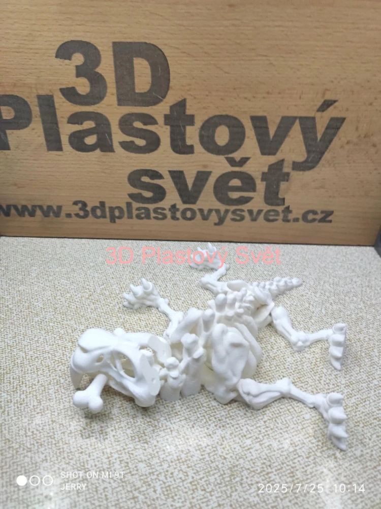 Kostra šavlozubého tygra