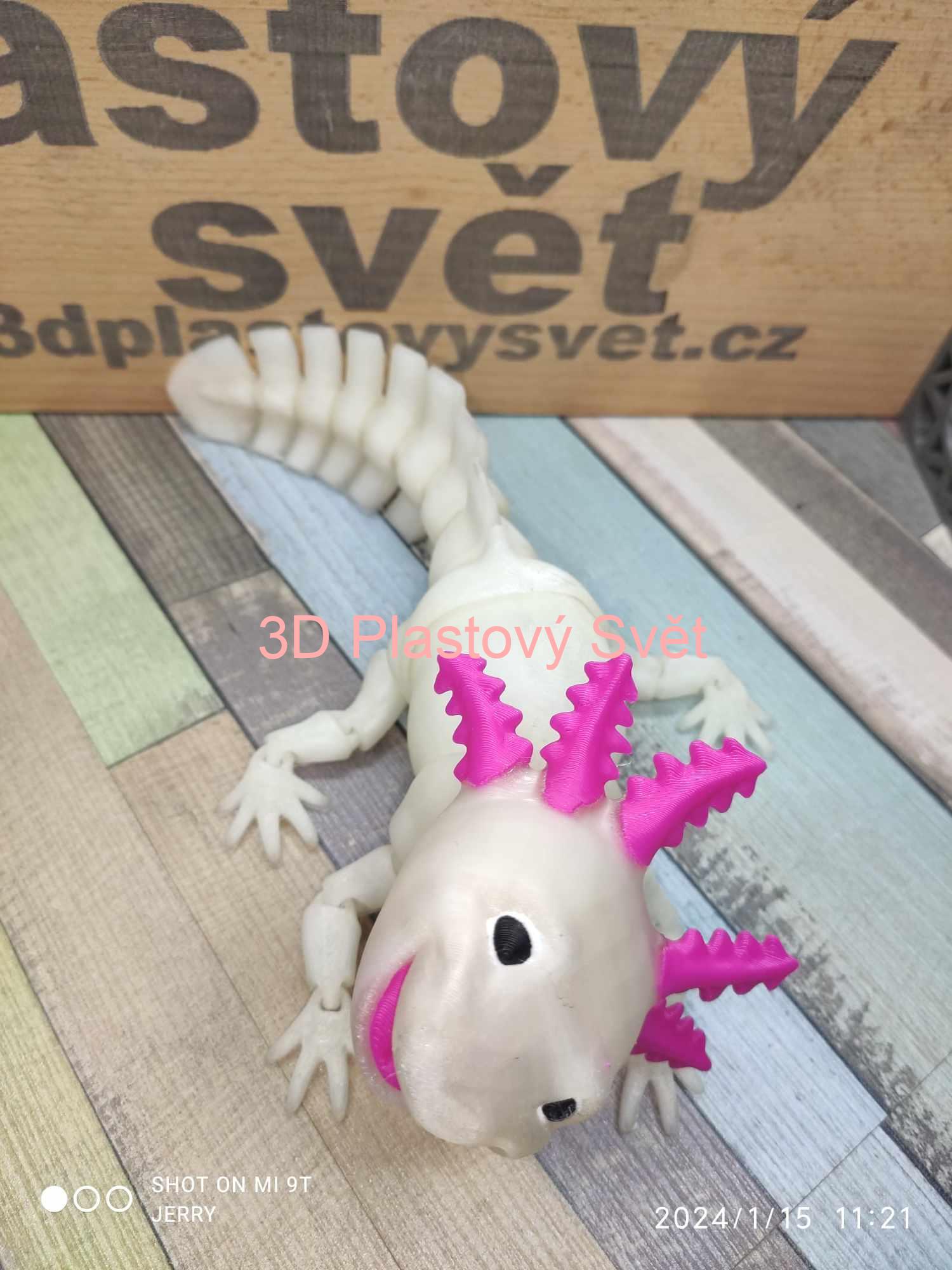 Vysmátý Axolotl