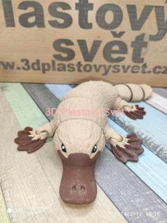 Ptakopysk