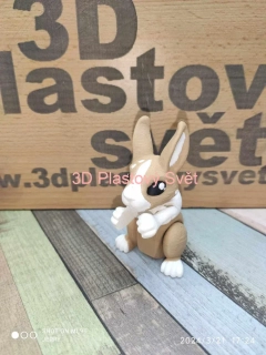 Malý zajíček