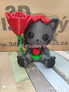 Kočka s růží - barevný