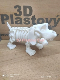 Kostra jezevčíka