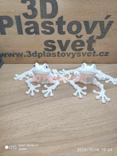 Kostra žáby