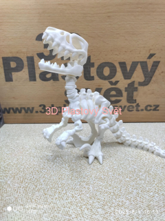 Kostra - Raptor