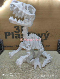 Kostra - Raptor - velký