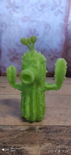 Kaktus